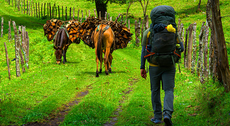 technocio's tweet image. #Turismo #Bookingcom #informedeViajesySostenibilidad Viajes sostenibles: de la brecha global a los avances concretos en Colombia: El 85% de los viajeros a nivel global considera importante viajar de forma sostenible, pero persiste una brecha entre… dlvr.it/TSL8bD