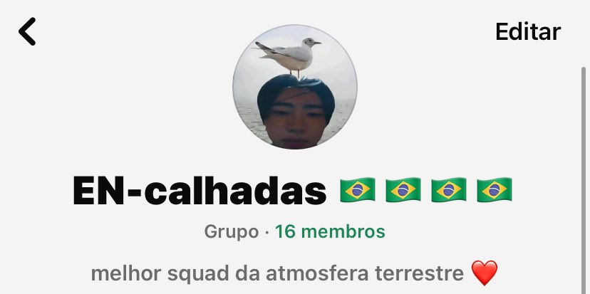 acervo encalhadas tweet media