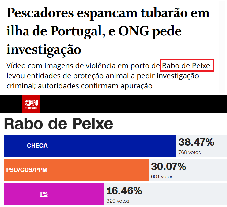 WalterDomingos tweet media