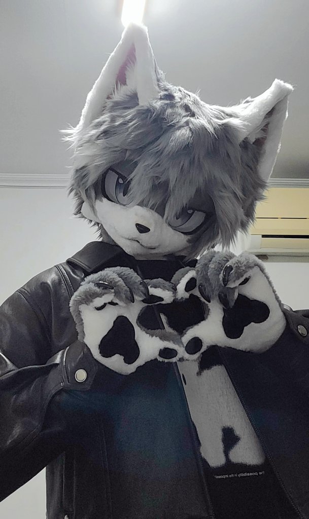 이리Eerie🐺 tweet media