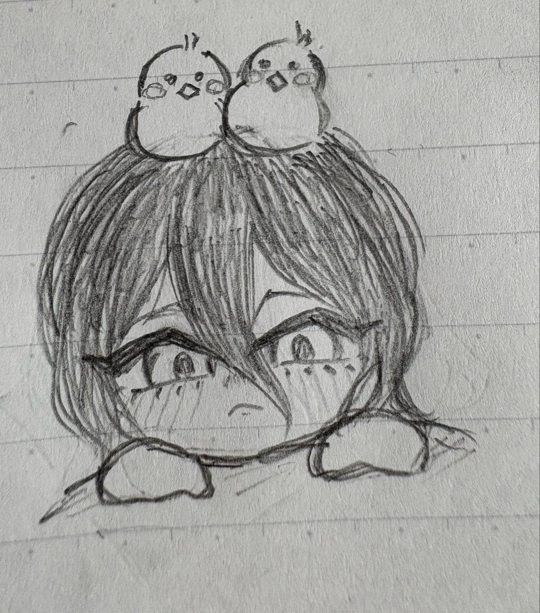 槐 tweet media