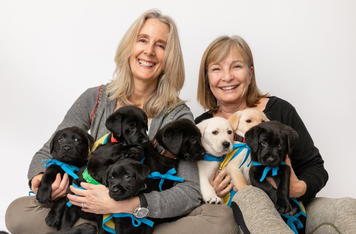canineorg's tweet image. 🐶 Hey, Northern California #dog lovers!  We're URGENTLY looking for #volunteers to care for our breeder dogs!🐾 Join an online or in-person info session today.

✅ Sign up: canine.org/bcinfo

#volunteer #LeadWithIndependence #makeadifference #puppy
