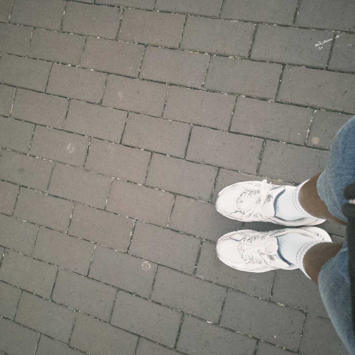 ໊ tweet media