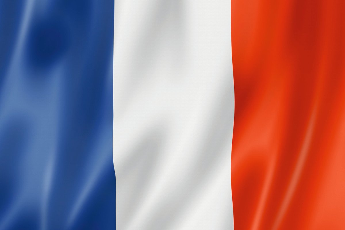 AlertesInfos's tweet image. 🇫🇷 FLASH | Une crise économique pourrait frapper la France d’ici la fin de l’été ou à l’automne, selon l’économiste Jacques Sapir.