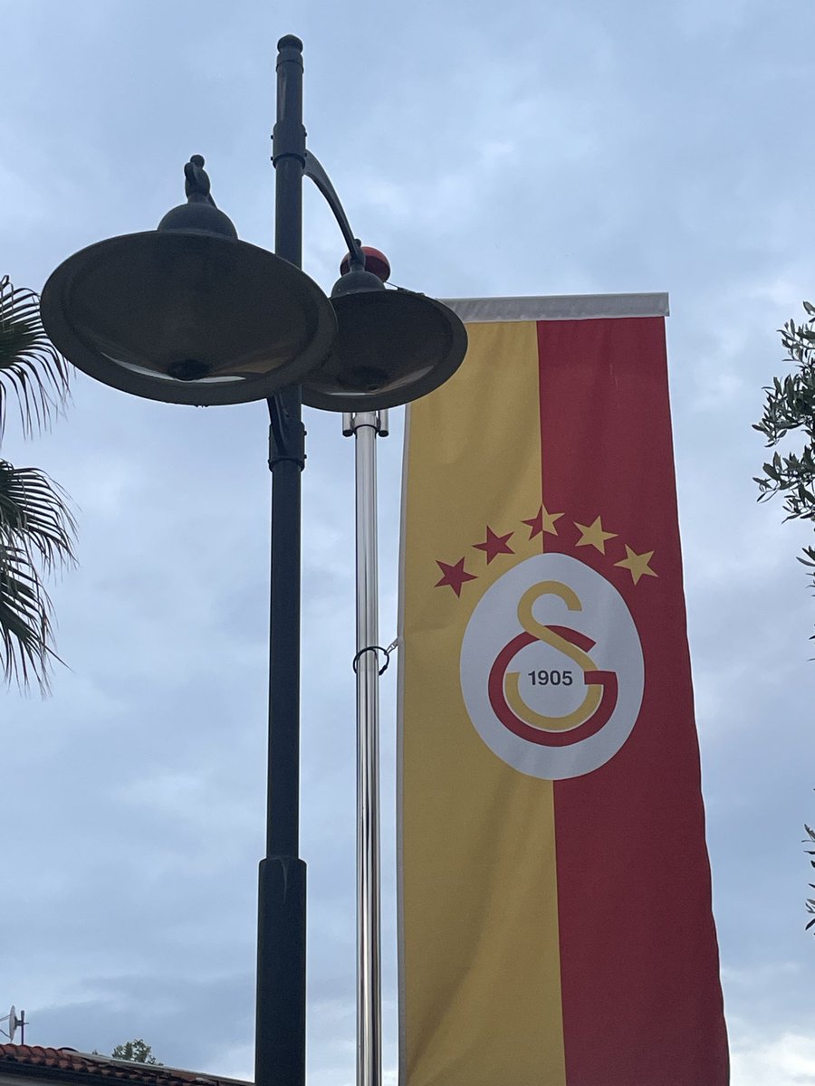 ozlemprm's tweet photo. 🦁💛❤️
#galatasaray @GalatasaraySK https://t.co/eZKmuh7pfT