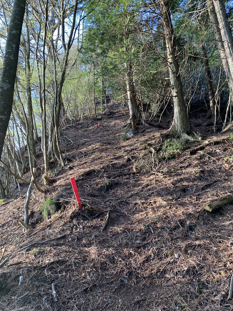 keiyr's tweet photo. 四国百山⑦日ノ丸山。途中、ロープなしのキッツい急登を登ったけど、下山時に迂回路がある事に気づいた。ルートが分かりづらい山 https://t.co/o2YB6fAiLK