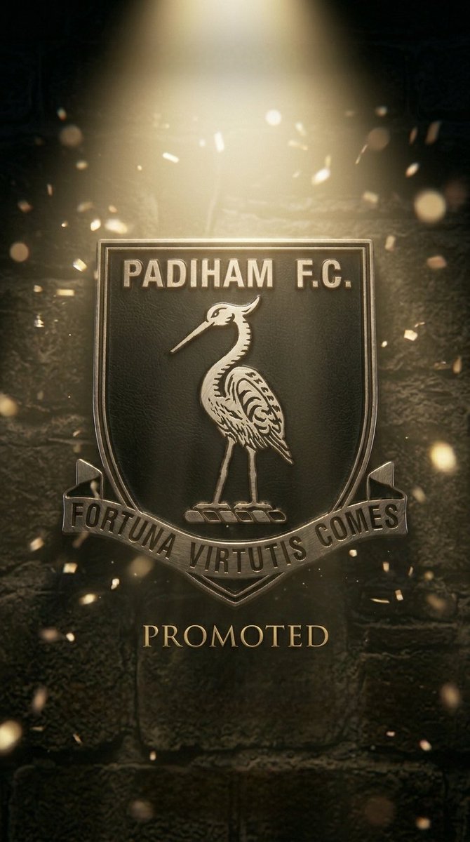 turfmoorhouse's tweet photo. NOW YOU GONNA BELIEVE US....

THE STORKS ARE GOING UP! 🎵🎶

#Promotion @Padiham_FC https://t.co/3I06R5GnbI