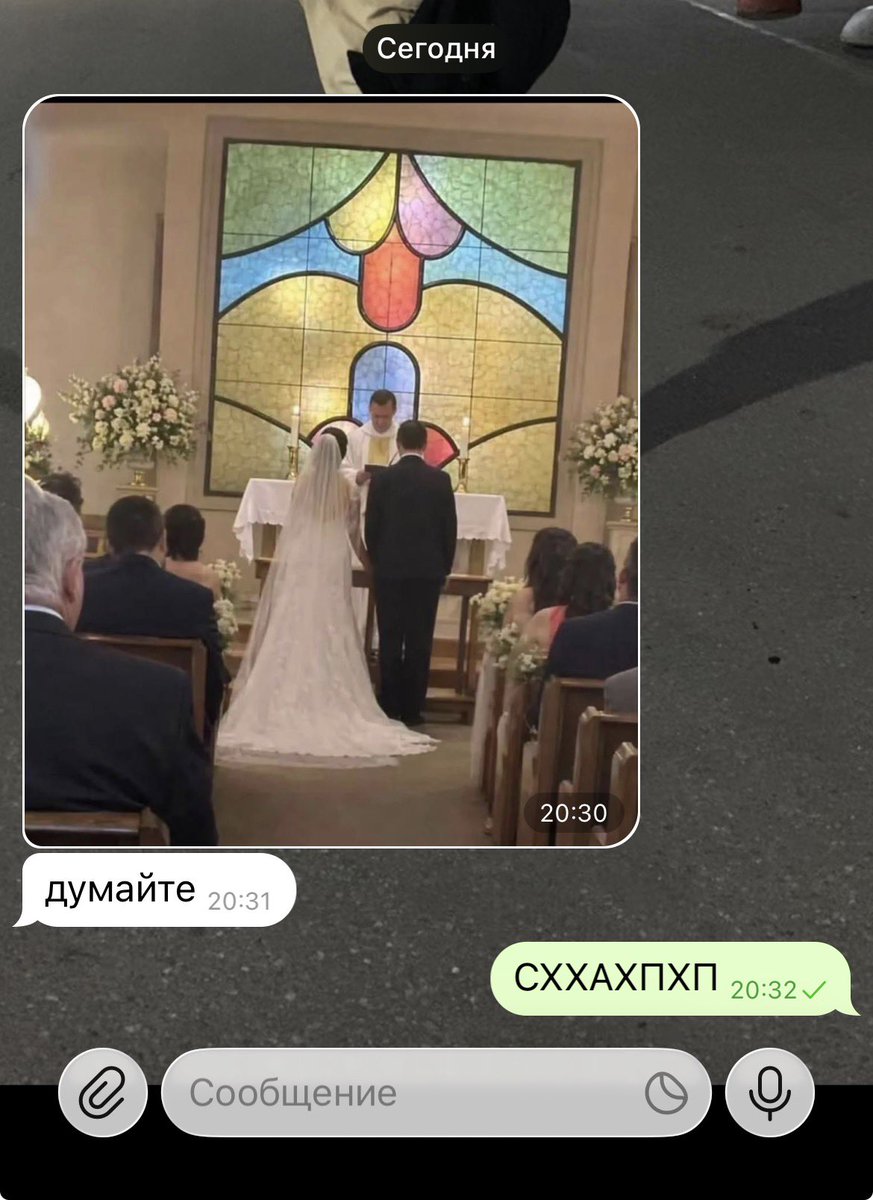 это медуза (не галочка)🪼 tweet media