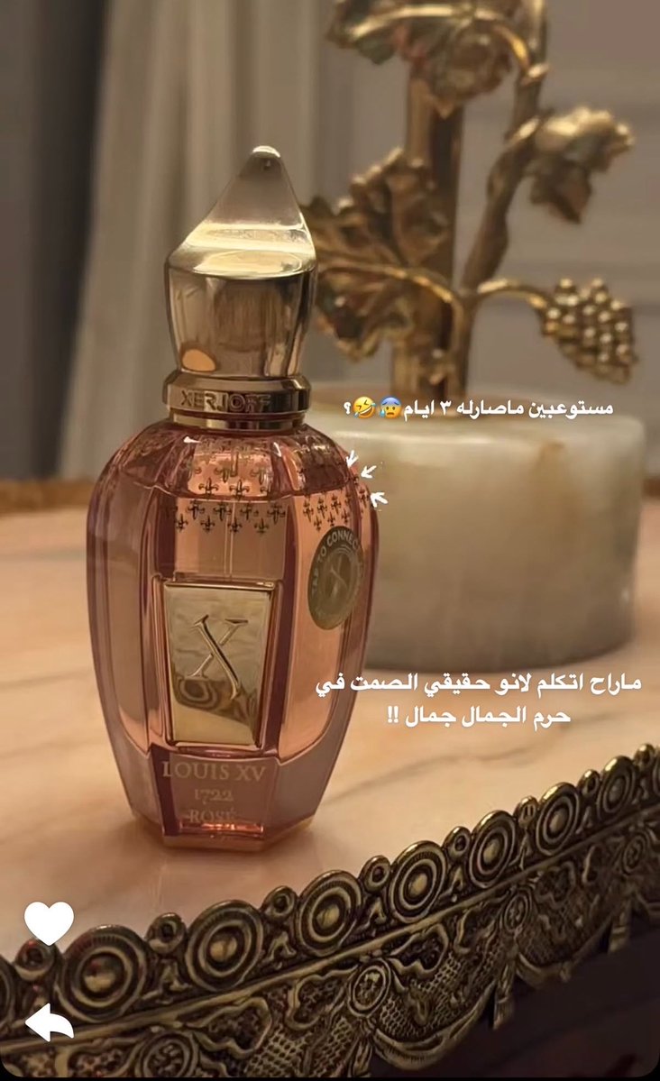 عالم النساء 💄🎀💗🪞 tweet media
