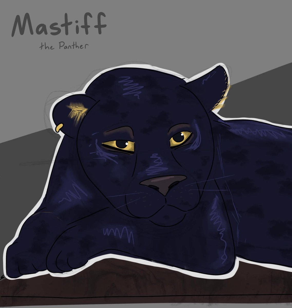 Mastiff 🩶🐾 tweet media