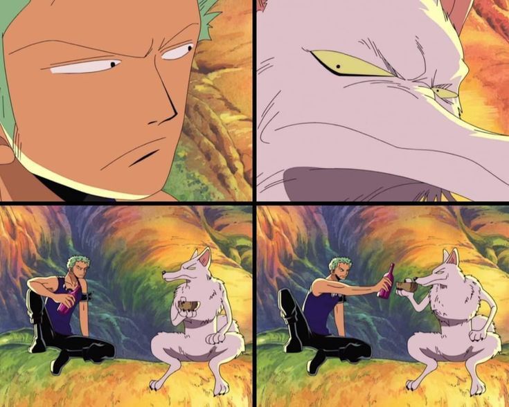 One Piece Daily tweet media