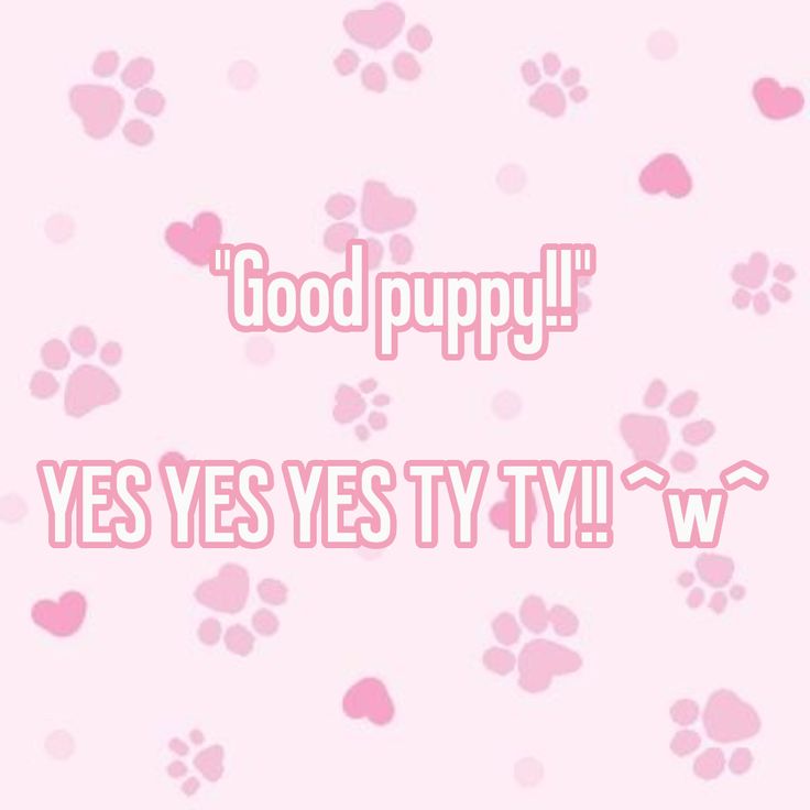 🐾Puppy boy 🐾 tweet media
