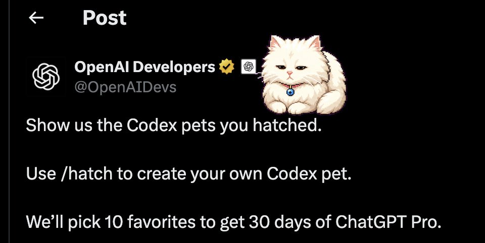 meowchinelearn's tweet photo. @OpenAIDevs snowbell is right there https://t.co/p1RbTTAEyS