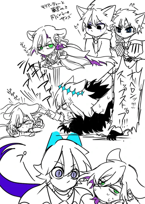 サヴァ猫(子ライオン) 