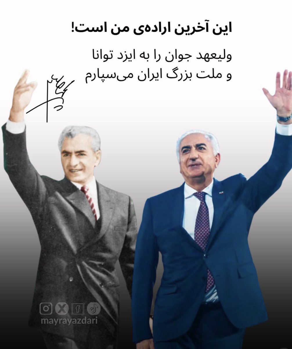 Sholeh tweet media