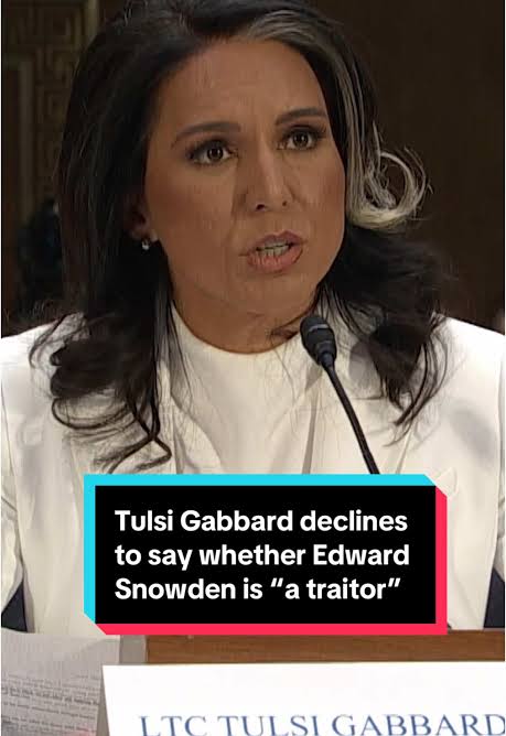 Should EDWARD SNOWDEN be Pardoned by President Trump?