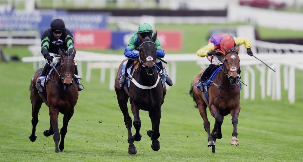 oddzowen's tweet photo. The end of the National Hunt season 2025/2026.

A great season that went way too quick.

The best sport in the world.

🐎🐎🐎 https://t.co/6XH6nAgCS2