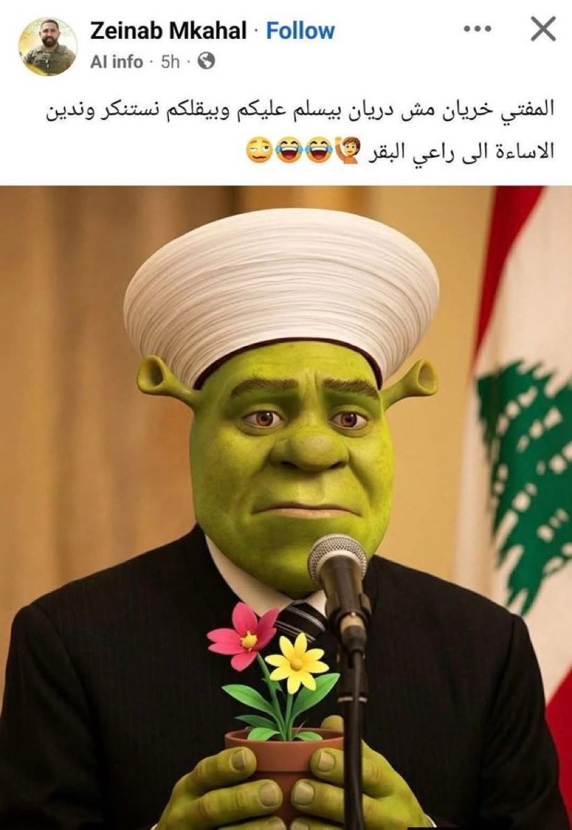 LebyNews tweet media