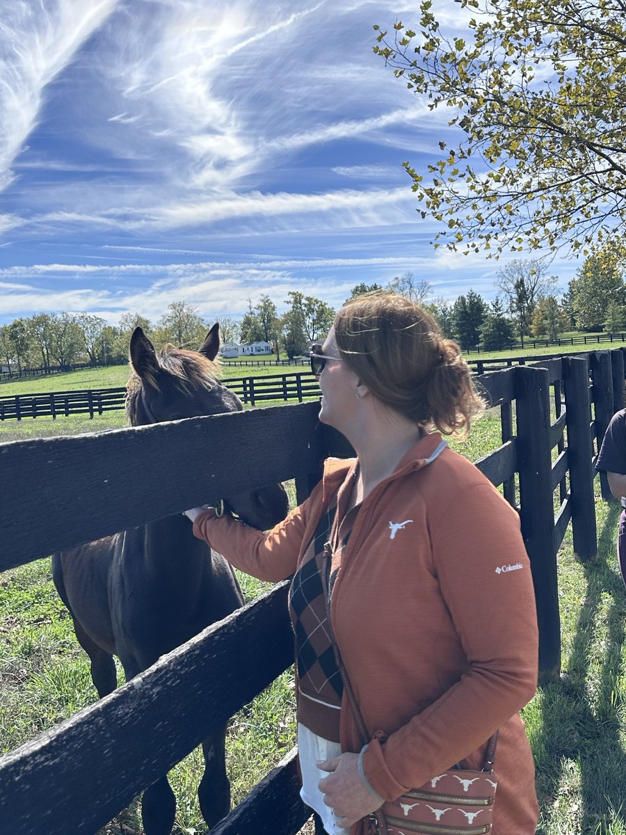 Shea Sullivan tweet media