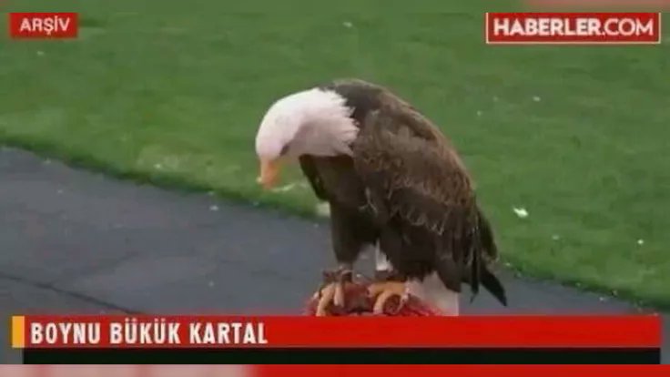 ayşenur tweet media