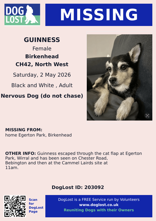 millypod1's tweet image. 🆘2 MAY 2026 #Lost Guinness #ScanMe
Nervous Cross Breed Female
Egerton Park #Birkenhead #CH42 #Cheshire Guinness escaped through the cat flap at Egerton Park, #Wirral and has been seen on Chester Road #Bebington and then at the #CammelLairds site at 11am.
doglost.co.uk/dog/203092