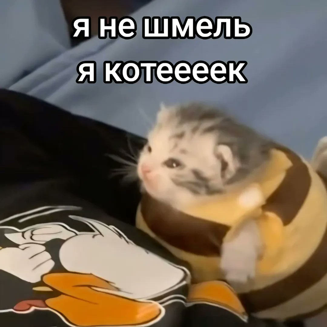 NLPISHERE tweet media