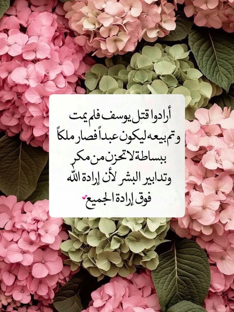 سحابة حــب🪽 tweet media
