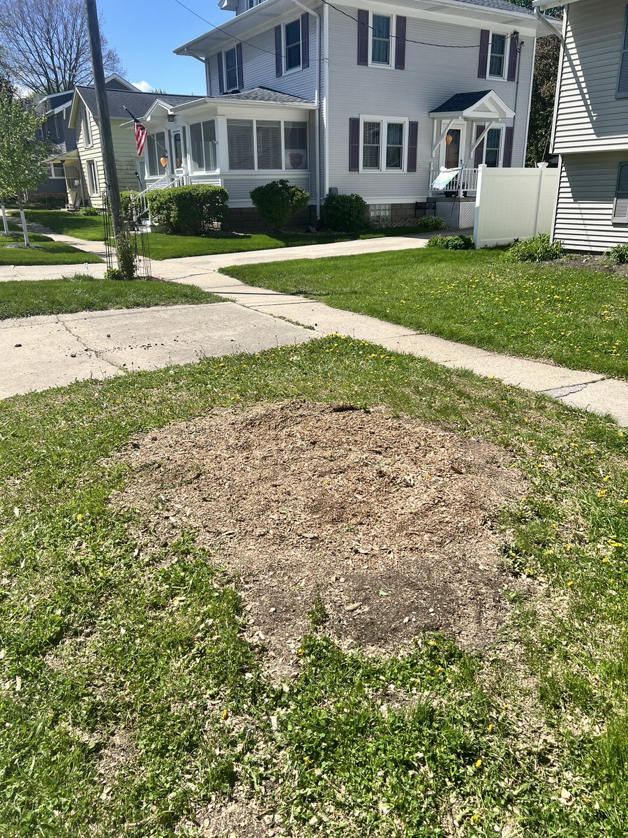Carson | Grounds Crew tweet media