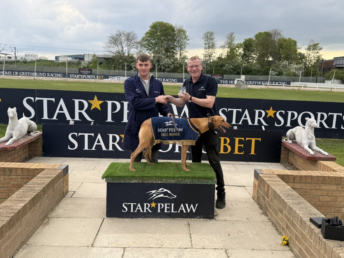 Star Pelaw Greyhounds tweet media