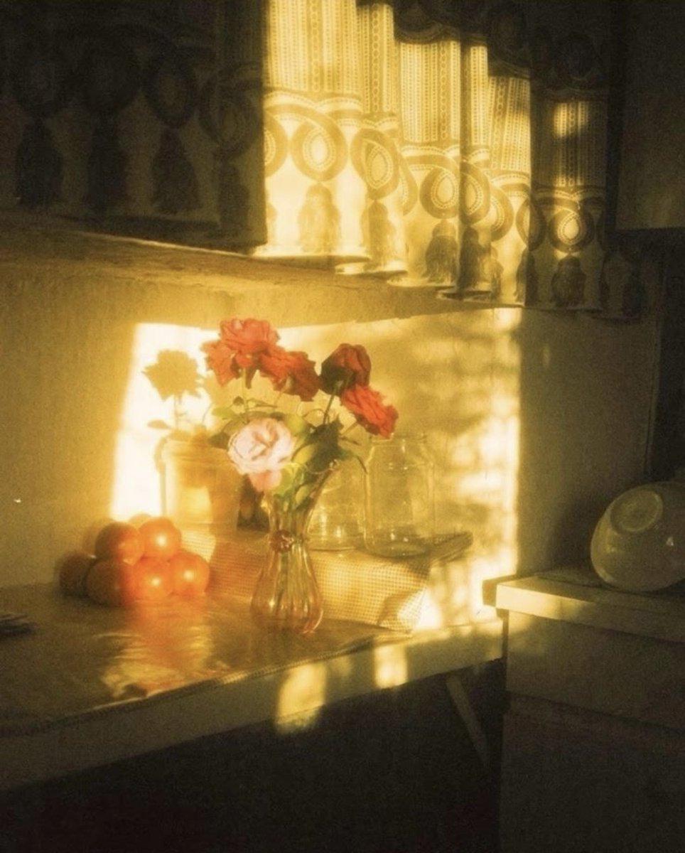 Bea | archive tweet media