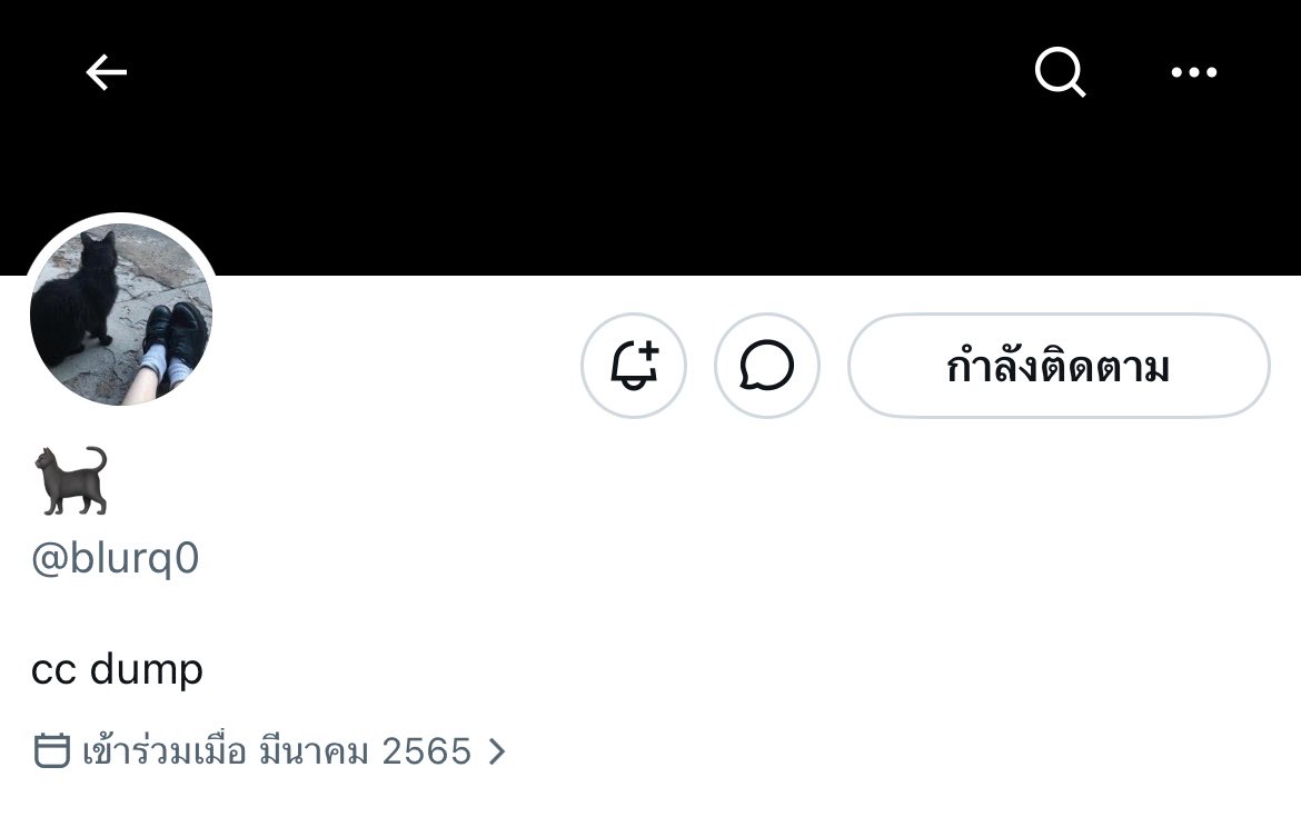 ★ tweet media