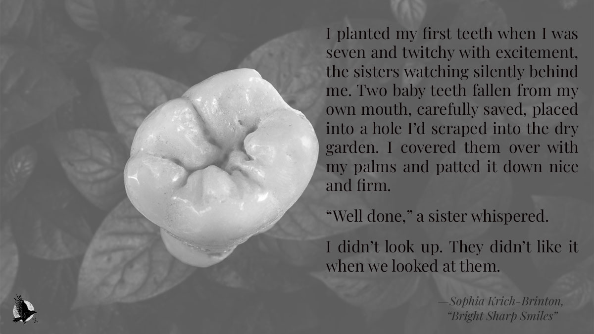 CrowKeys's tweet photo. We planted a link. You should click it.

https://t.co/7ioKaCcgo5 https://t.co/qwlwzEGkH2