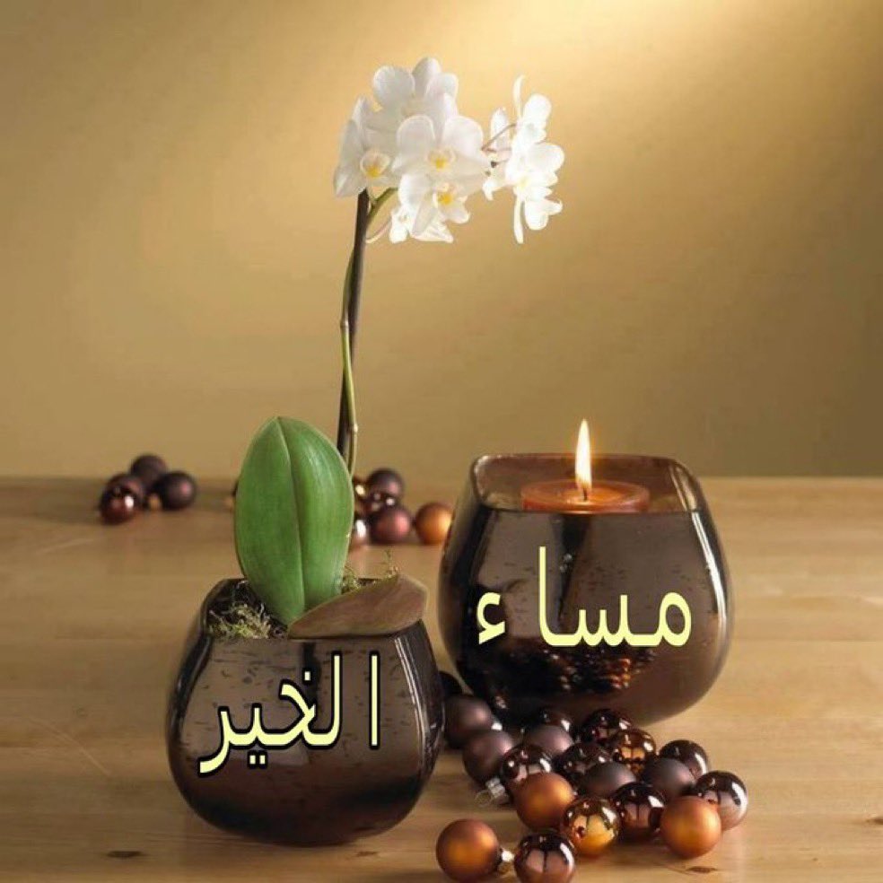 أبن الفيحاء(مدينتي) tweet media