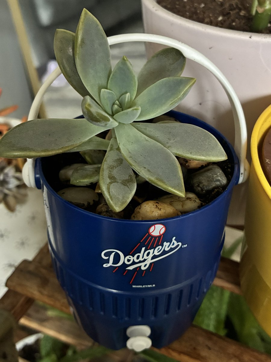💙 ⚾️ this was fun to put together ✨