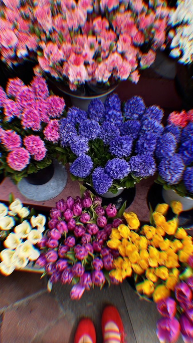 buuss__'s tweet photo. Soğuk havaya inat, aklımda hâlâ o çiçek tezgâhının renkleri var 💜 https://t.co/eeUja2y5do