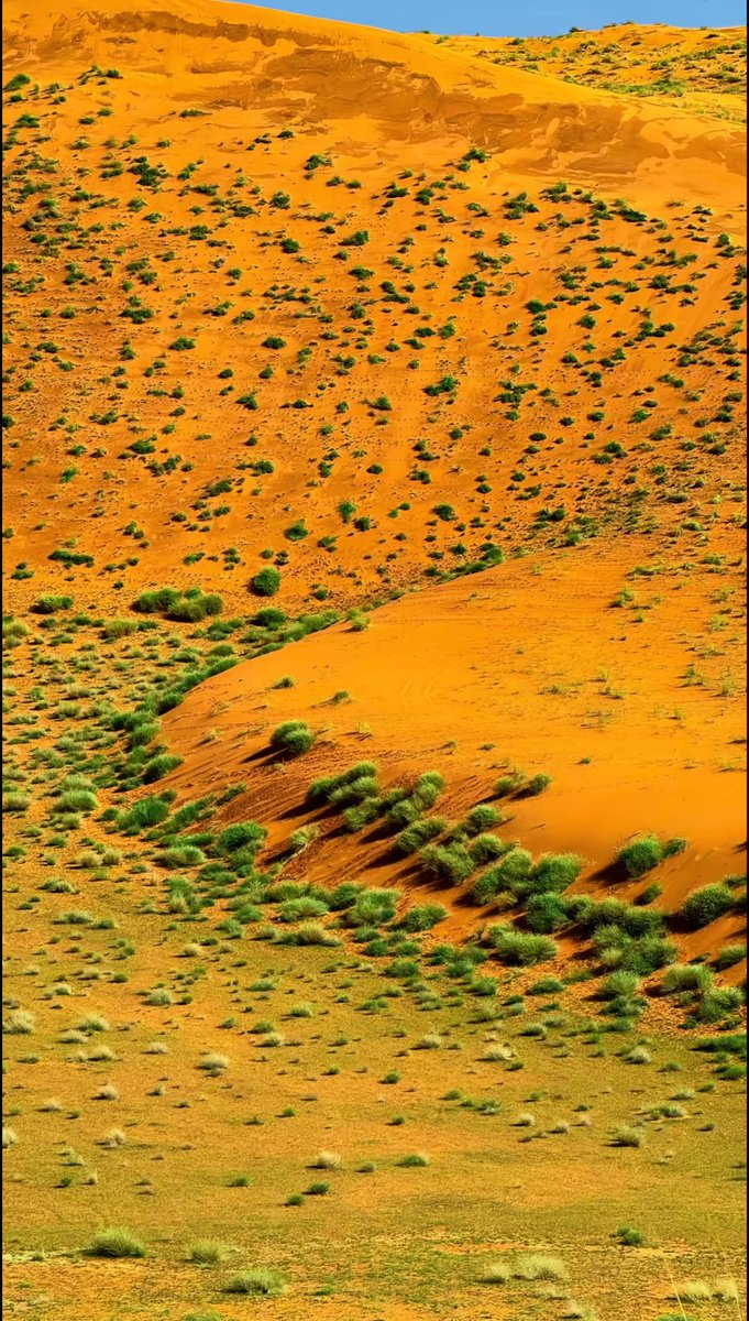 naSer tweet media
