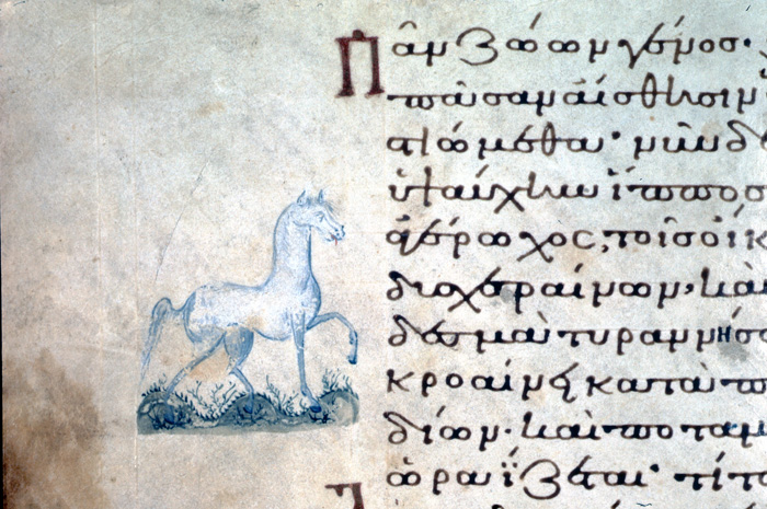 Alyunan00's tweet photo. A white horse illustration, in a text of Gregory Nazianzen, Homilies, Oratio 44.

Greek Orthodox Patriarchate of Jerusalem, Taphou 14, 11th century. https://t.co/ex5OfgqHXh