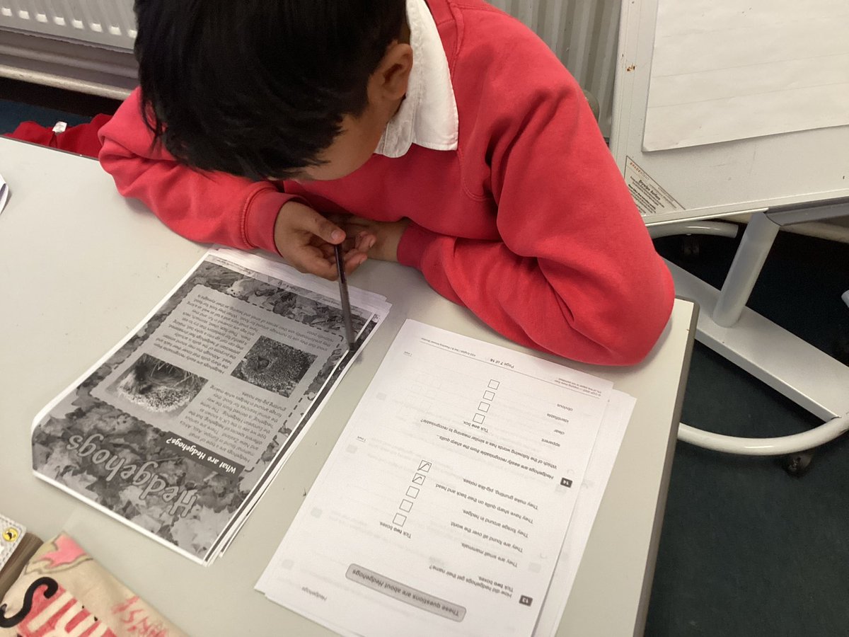 AngleseyP's tweet image. Yr6: The resilience and perseverance our Yr6 pupils have shown leading up to them taking their SATs tests has been truly incredible. Wishing you all the best! #SATs2026 #ProudMoments #ShowingAmbition 👏 #LearningJourney #KeepGoing 📚🥇👍🏼❤️
