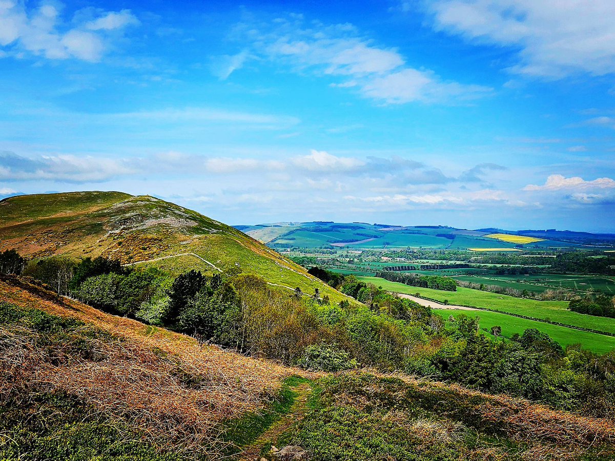 blonde_on_bikes's tweet photo. Eildon Ramblers Walk 9.3 miles.
Wooler Common-Gleadscleugh - White Law - St Cuthbert's Way - Wooler Common #Cheviothills #Northumberland #Wooler #StCuthbertsWay https://t.co/VtqCpJcj8E