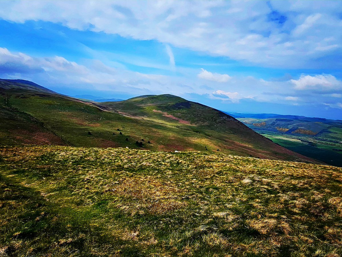 blonde_on_bikes's tweet photo. Eildon Ramblers Walk 9.3 miles.
Wooler Common-Gleadscleugh - White Law - St Cuthbert's Way - Wooler Common #Cheviothills #Northumberland #Wooler #StCuthbertsWay https://t.co/VtqCpJcj8E