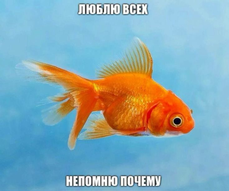 царица-пивозаврица tweet media