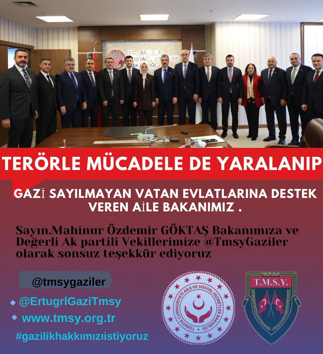 gazi (TMSY) tweet media