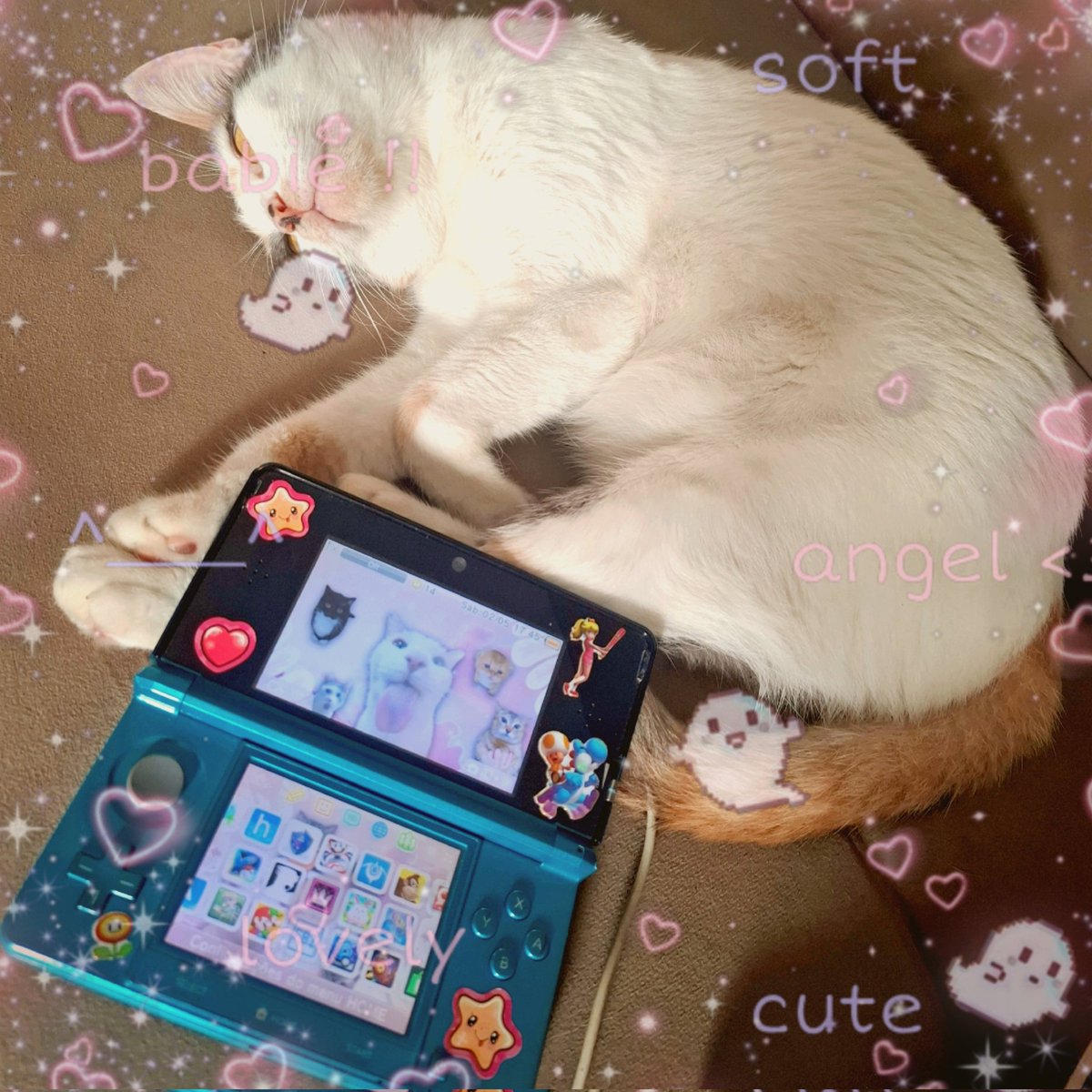 ☆★ 𝐋𝐢𝐥𝐥𝐲 ★☆ tweet media