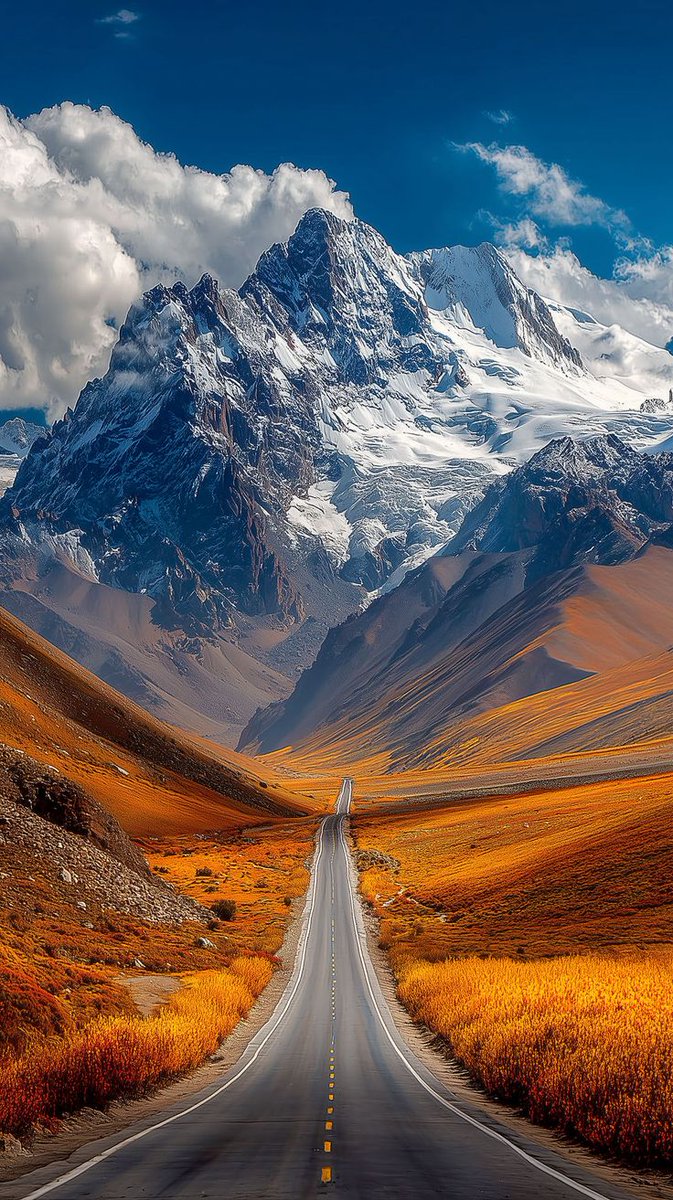Wondrous Nature tweet media
