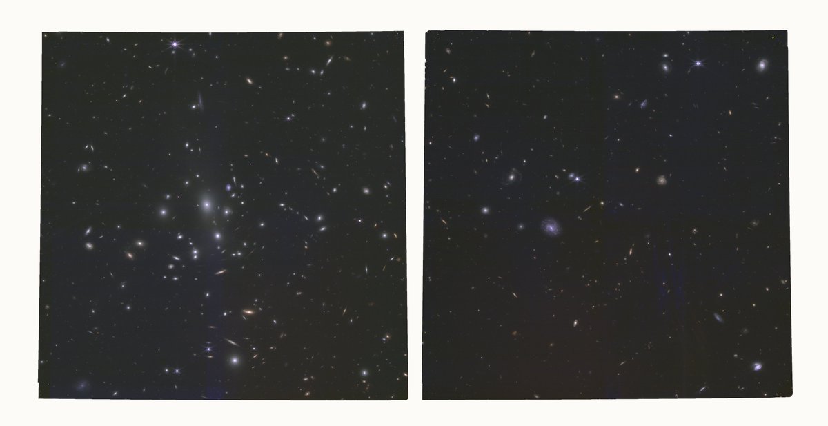 landru79's tweet image. James #Webb Space Telescope #JWST

Vast Exploration for Nascent, Unexplored Sources

TARGNAME: #RXCJ0911+1746
DATE-OBS: 2026-05-01
PI: Fujimoto, Seiji
NIRCAM  356 300 210 
NIRISS 356 277 200 150 115

yuval-harpaz.github.io/astro/jwst_lat…

NASA/ESA/CSA/STScI/j. Roger