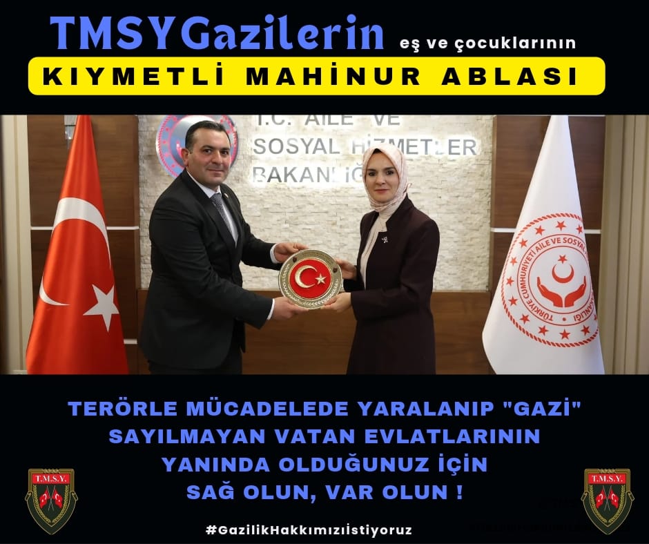 gazi (TMSY) tweet media
