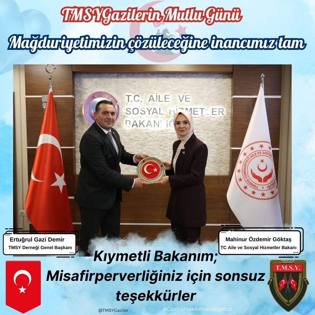 gazi (TMSY) tweet media