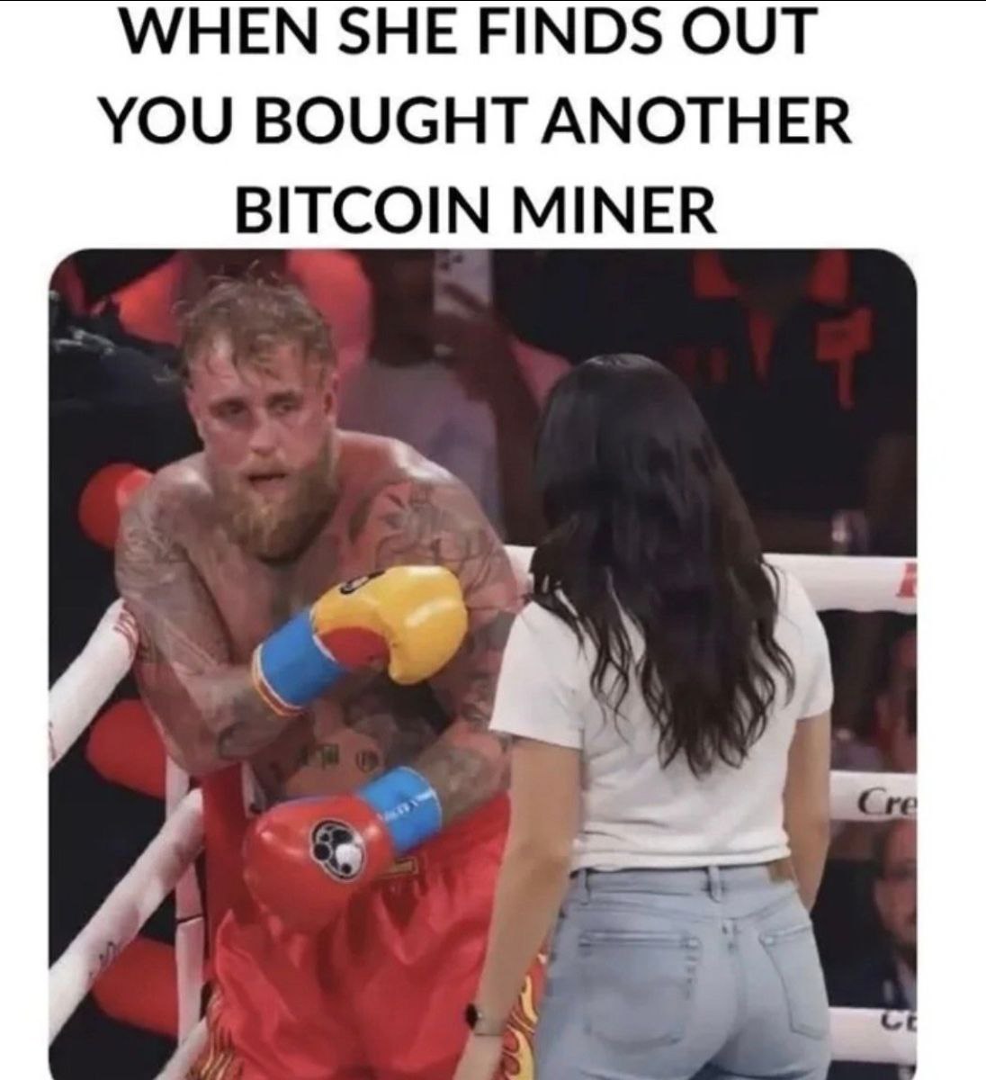 Plebstyle - Your trusted shop for Bitcoiners tweet media