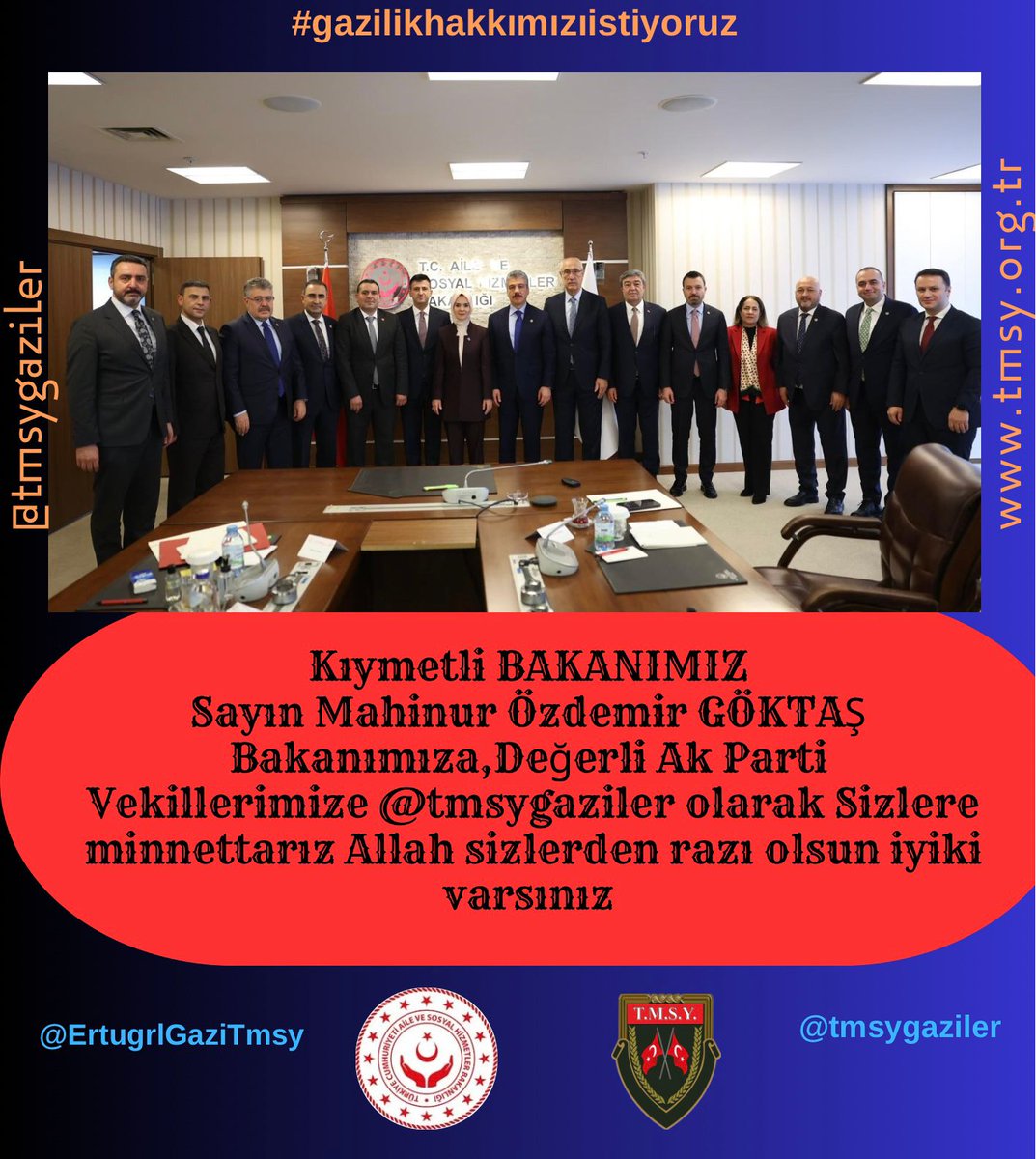 gazi (TMSY) tweet media