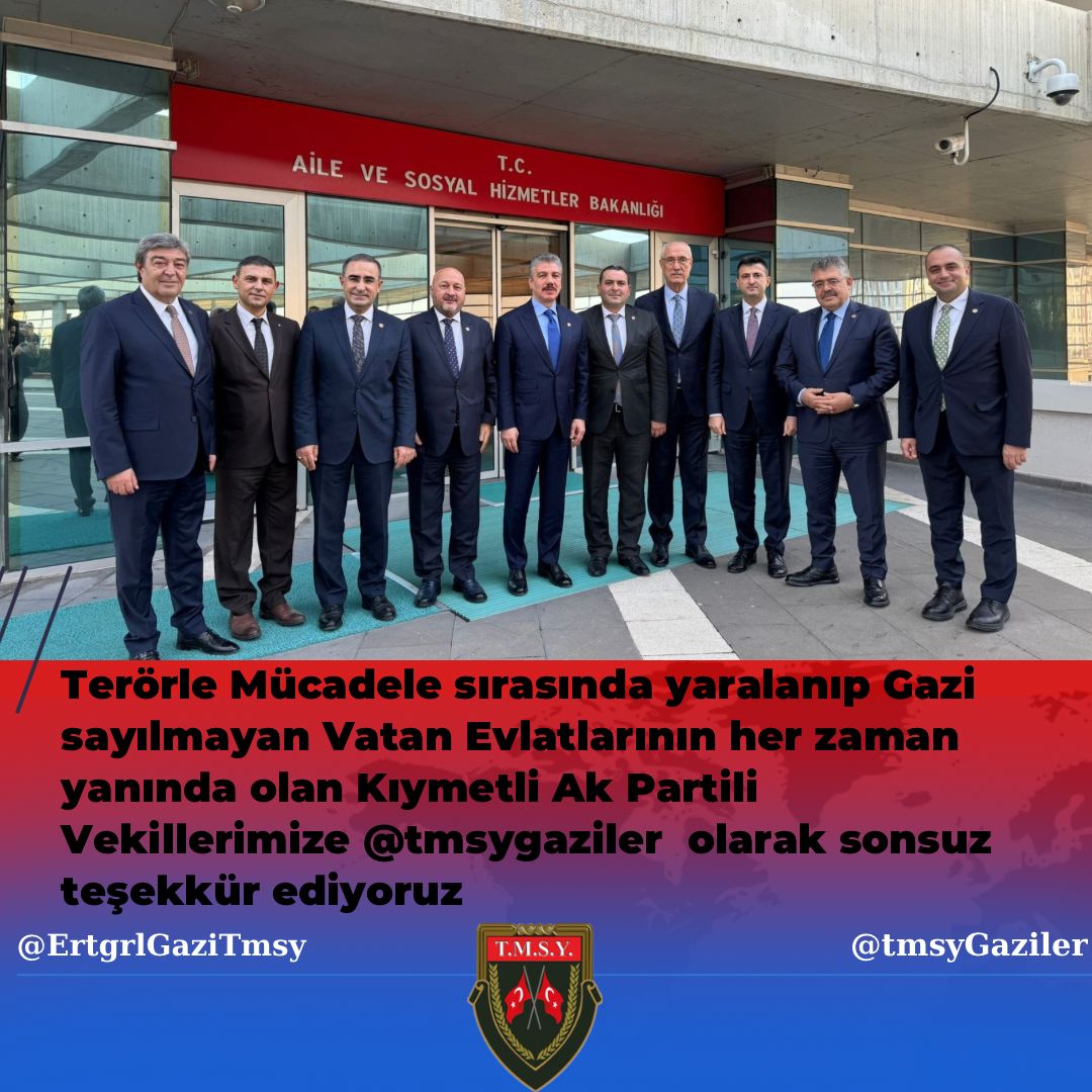 gazi (TMSY) tweet media